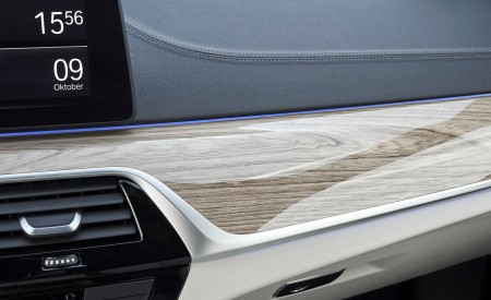 2021 BMW 5 Series Touring Interior Detail Wallpapers  450x275 (98)