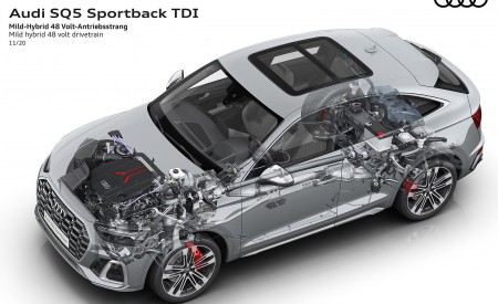 2021 Audi SQ5 Sportback TDI Mild hybrid 48 volt drivetrain Wallpapers  450x275 (48)