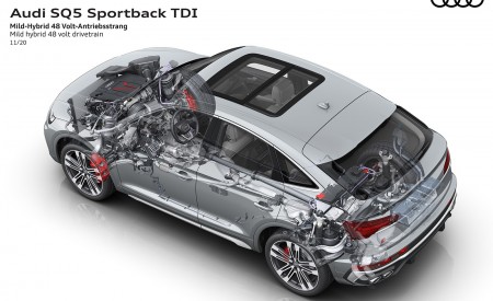 2021 Audi SQ5 Sportback TDI Mild hybrid 48 volt drivetrain Wallpapers 450x275 (47)