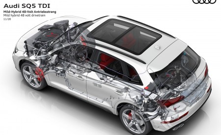 2021 Audi SQ5 TDI Mild hybrid 48 volt drivetrain Wallpapers  450x275 (15)