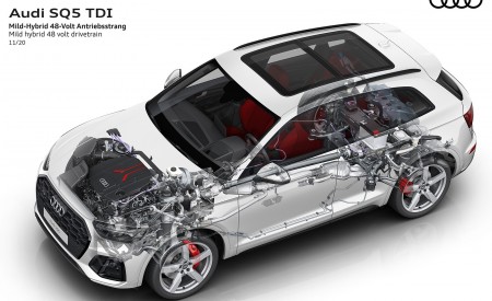 2021 Audi SQ5 TDI Mild hybrid 48 volt drivetrain Wallpapers  450x275 (14)
