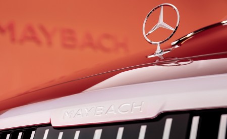 2021 Mercedes-Maybach S-Class (Color: Designo Patagonian Rot Bright) Detail Wallpapers 450x275 (124)