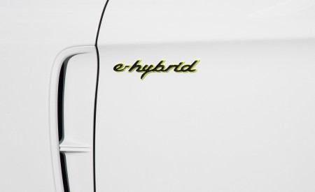 2021 Porsche Panamera Turbo S E-Hybrid (Color: Carrara White Metallic) Badge Wallpapers 450x275 (43)