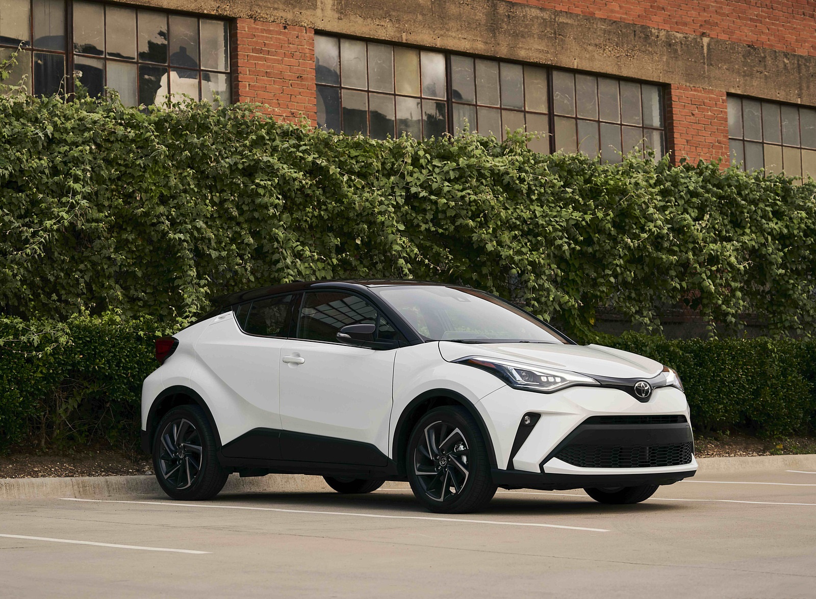 2021 Toyota C-HR Limited (Color: Blizzard White) Front Three-Quarter Wallpapers #19 of 29