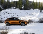 2021 Aston Martin DBX (Color: Golden Saffron; US-Spec) Side Wallpapers 150x120 (33)