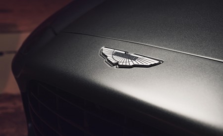 2021 Aston Martin DBX (Color: Satin Xenon Grey; US-Spec) Badge Wallpapers 450x275 (58)