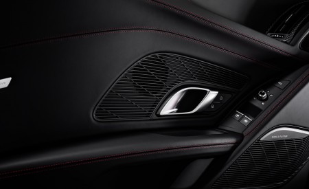 2021 Audi R8 Panther Edition Interior Detail Wallpapers 450x275 (21)