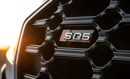 2021 Audi SQ5 (US-Spec) Badge Wallpapers 450x275 (38)