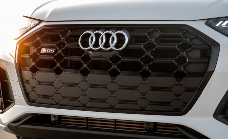 2021 Audi SQ5 (US-Spec) Grill Wallpapers  450x275 (30)