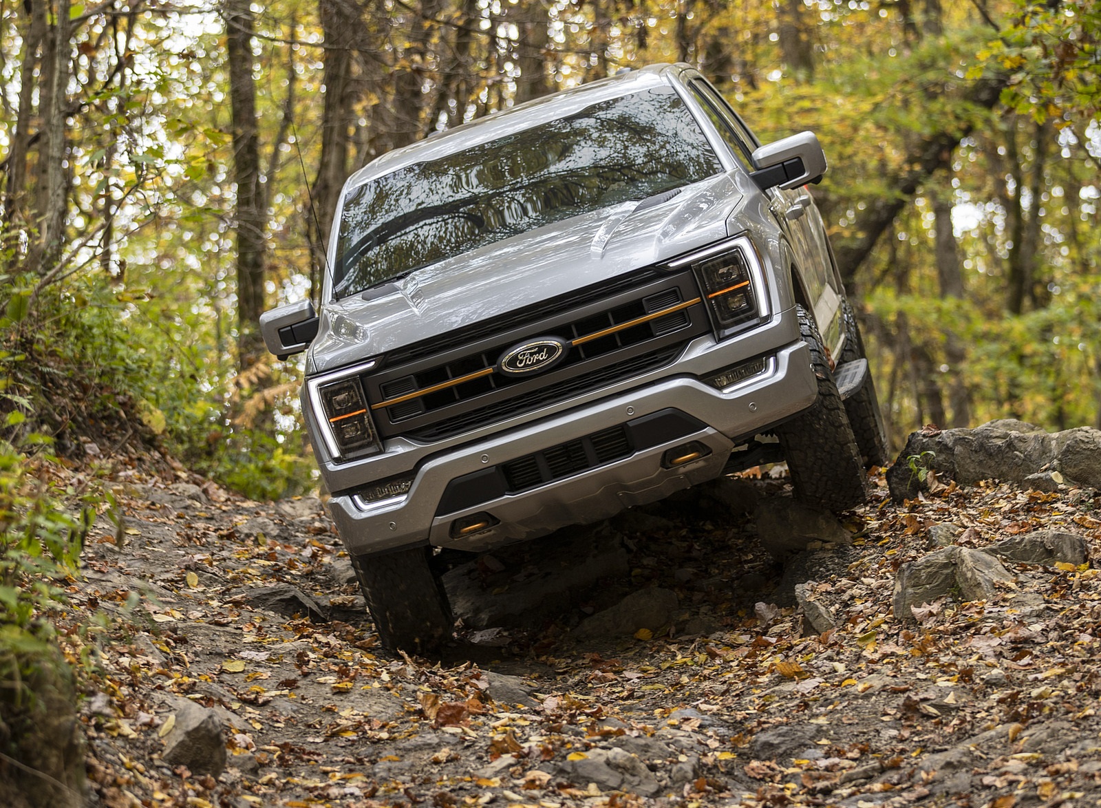 2021 Ford F-150 Tremor Off-Road Wallpapers #9 of 26