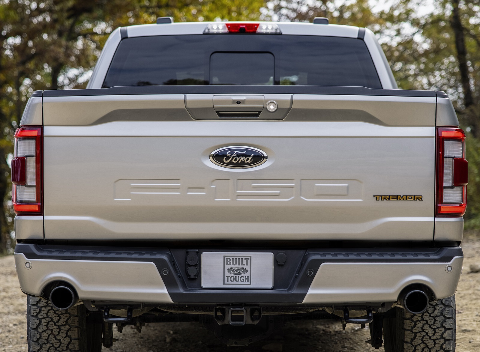 2021 Ford F-150 Tremor Rear Wallpapers #13 of 26