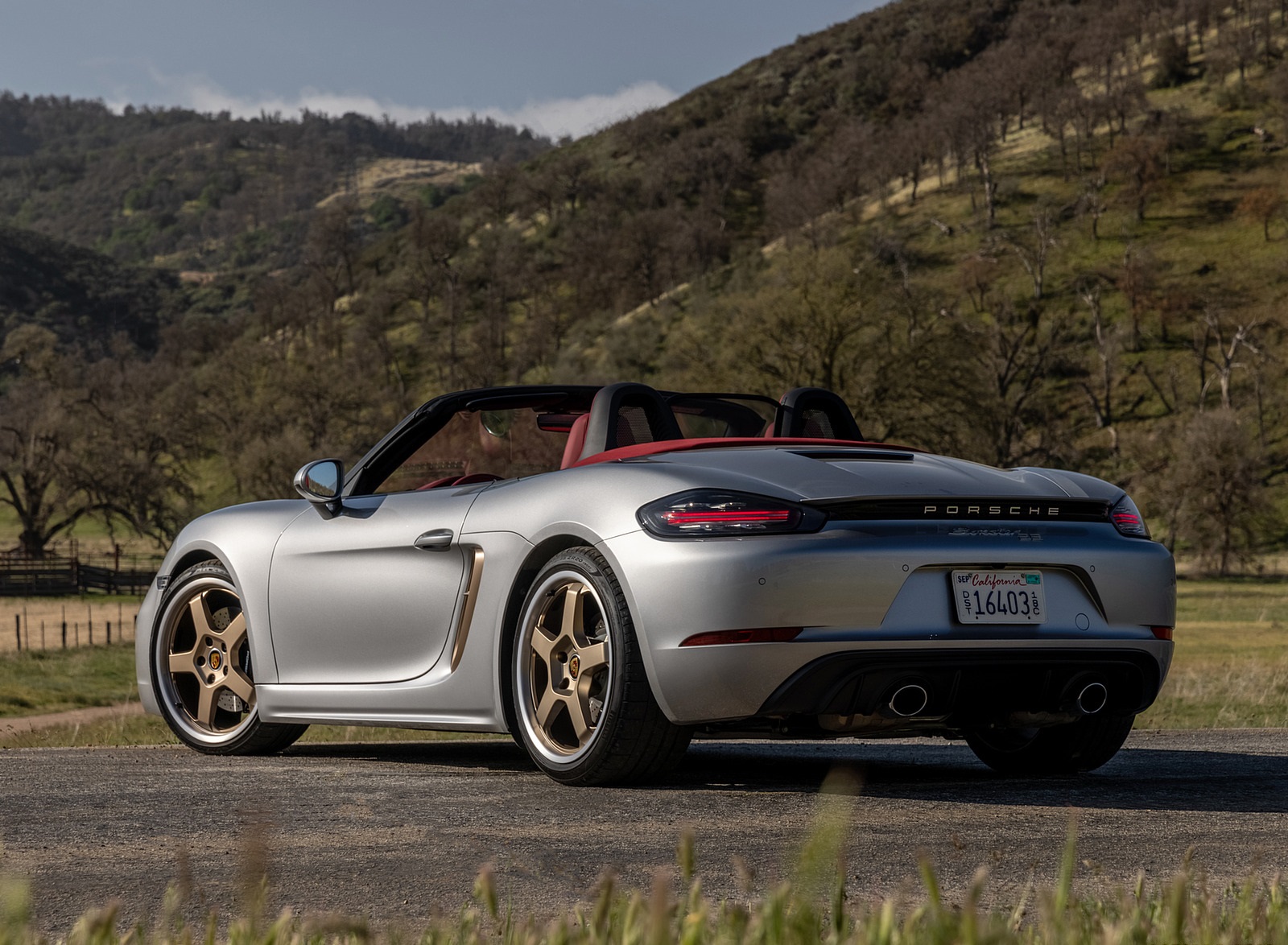 2021 Porsche 718 Boxster GTS 4.0 25 Years (Color: GT Silver) Rear Three-Quarter Wallpapers #53 of 185