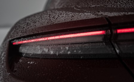 2021 Porsche Taycan (Color: Cherry Metallic) Tail Light Wallpapers 450x275 (121)
