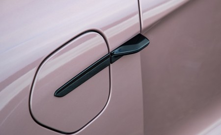 2021 Porsche Taycan (Color: Frozen Berry Metallic) Charging Port Wallpapers 450x275 (185)