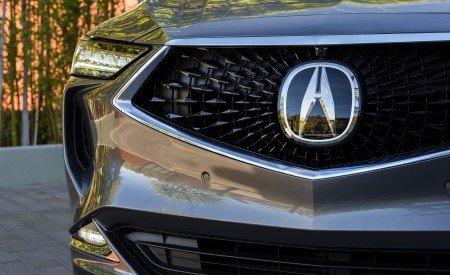 2022 Acura MDX Advance Grill Wallpapers 450x275 (20)