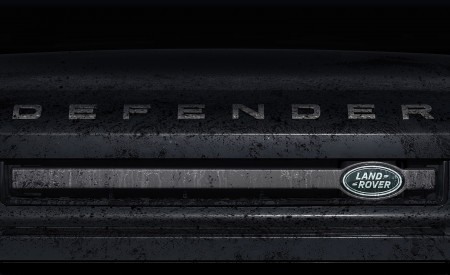 2022 Land Rover Defender V8 110 Carpathian Edition Grill Wallpapers 450x275 (20)