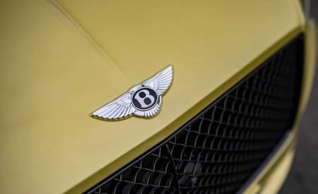 2022 Bentley Continental GT Speed (Color: Julep) Badge Wallpapers 450x275 (34)