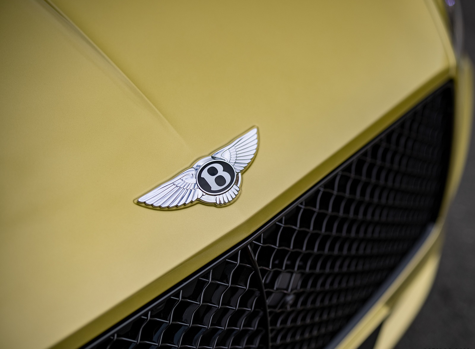 2022 Bentley Continental GT Speed (Color: Julep) Badge Wallpapers #34 of 173