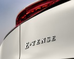 2022 DS 4 E-Tense Badge Wallpapers 150x120 (23)