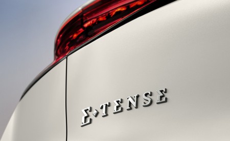 2022 DS 4 E-Tense Badge Wallpapers 450x275 (23)