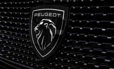 2022 Peugeot 308 PHEV Grill Wallpapers 450x275 (19)