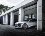 2021 Audi A6 e-tron Concept (Color: Helio Silver) Detail Wallpapers  150x120 (21)