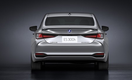 2022 Lexus ES Rear Wallpapers 450x275 (29)
