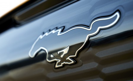 2021 Ford Mustang Mach-E GT Badge Wallpapers  450x275 (29)