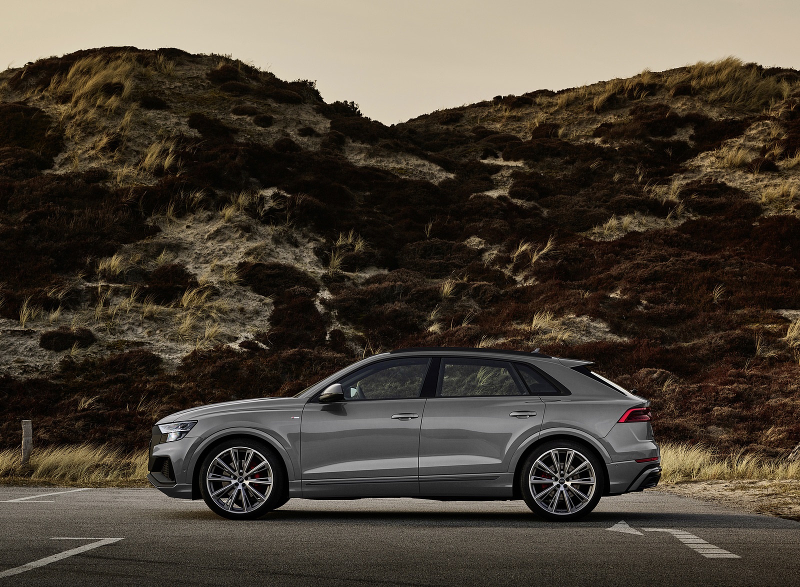 2022 Audi Q8 S Line Competition Plus (Color: Nardo Gray) Side Wallpapers #15 of 34
