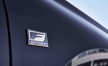 2022 Lexus NX 350 F Sport AWD Badge Wallpapers 450x275 (9)