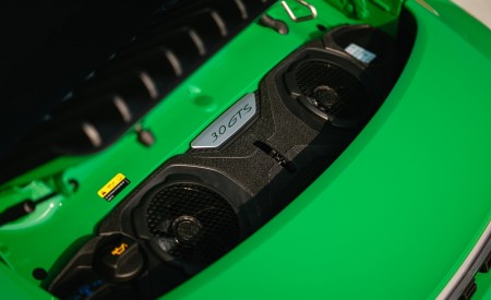 2022 Porsche 911 Carrera GTS (Color: Python Green) Detail Wallpapers 450x275 (95)
