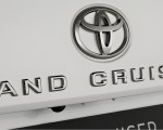 2022 Toyota Land Cruiser 300 Series Badge Wallpapers 150x120 (23)