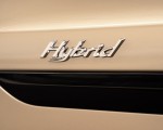 2021 Bentley Bentayga Plug-In Hybrid Badge Wallpapers 150x120 (62)