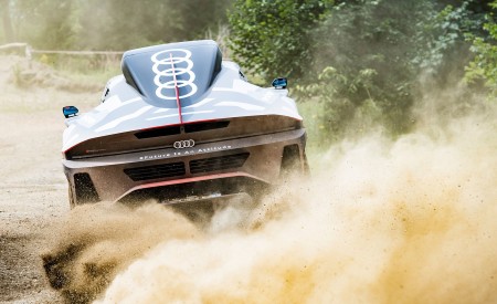 2022 Audi RS Q e-tron Dakar Rally Testing Wallpapers 450x275 (6)