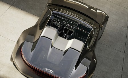 2021 Audi Skysphere Concept (Color: Stage Light) Top Wallpapers 450x275 (32)