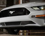 2022 Ford Mustang Ice White Appearance Package Grille Wallpapers 150x120 (11)