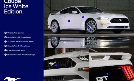 2022 Ford Mustang Ice White Appearance Package Technical Drawing Wallpapers 450x275 (23)