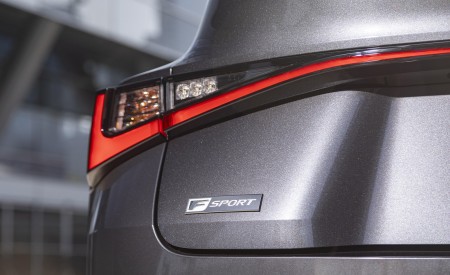 2022 Lexus IS 350 F SPORT Tail Light Wallpapers 450x275 (31)