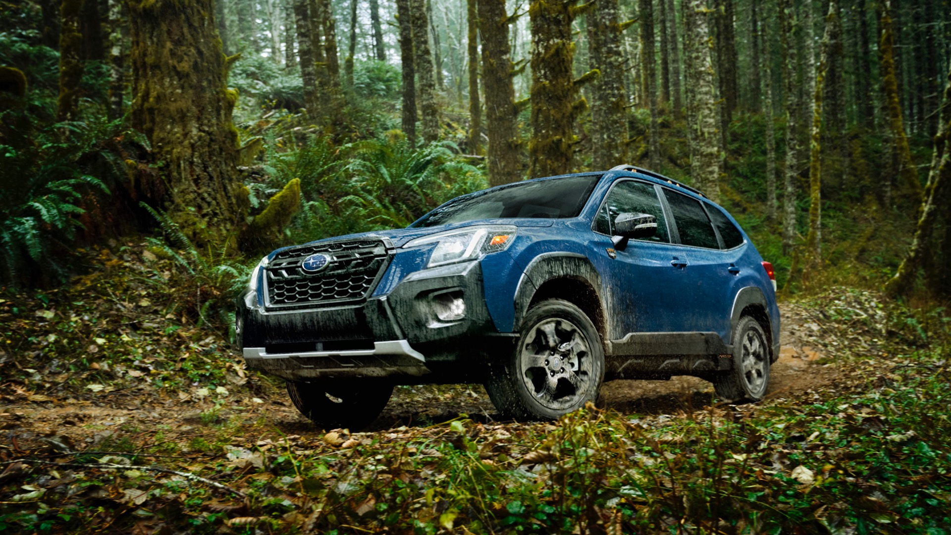 2022 Subaru Forester Wilderness Front Three-Quarter Wallpapers (1). Download Wallpaper