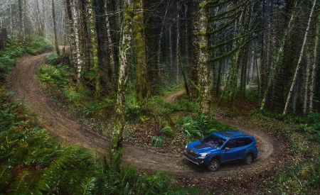 2022 Subaru Forester Wilderness Off-Road Wallpapers 450x275 (7)