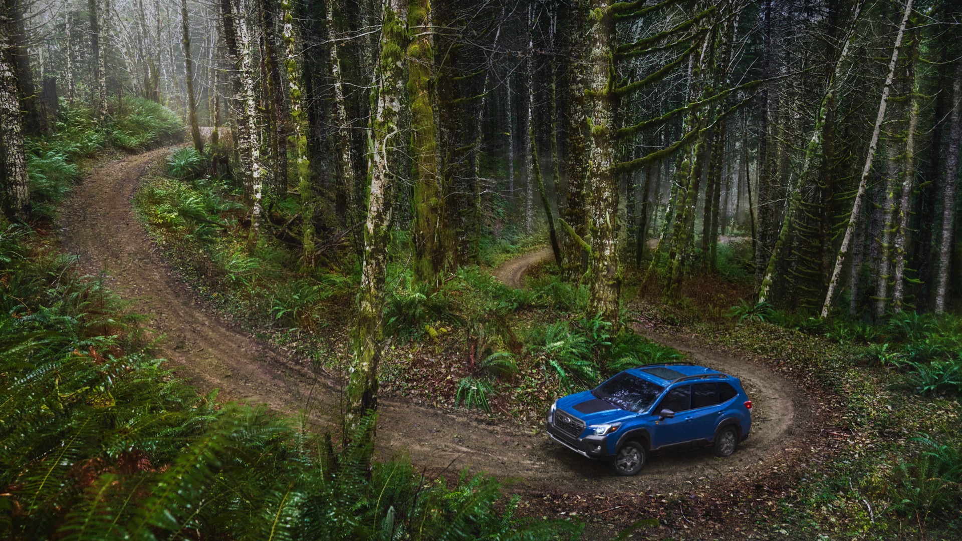 2022 Subaru Forester Wilderness Off-Road Wallpapers #7 of 22