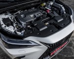 2021 Lexus NX 250 (Euro-Spec) Engine Wallpapers 150x120 (29)