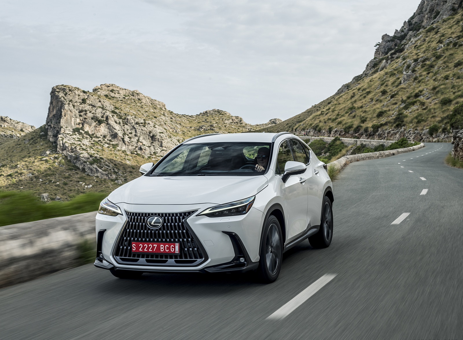 2021 Lexus NX 250 (Euro-Spec) Front Wallpapers (6)