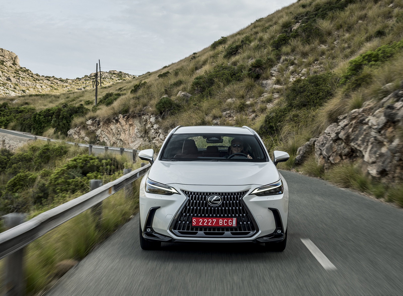 2021 Lexus NX 250 (Euro-Spec) Front Wallpapers (8)