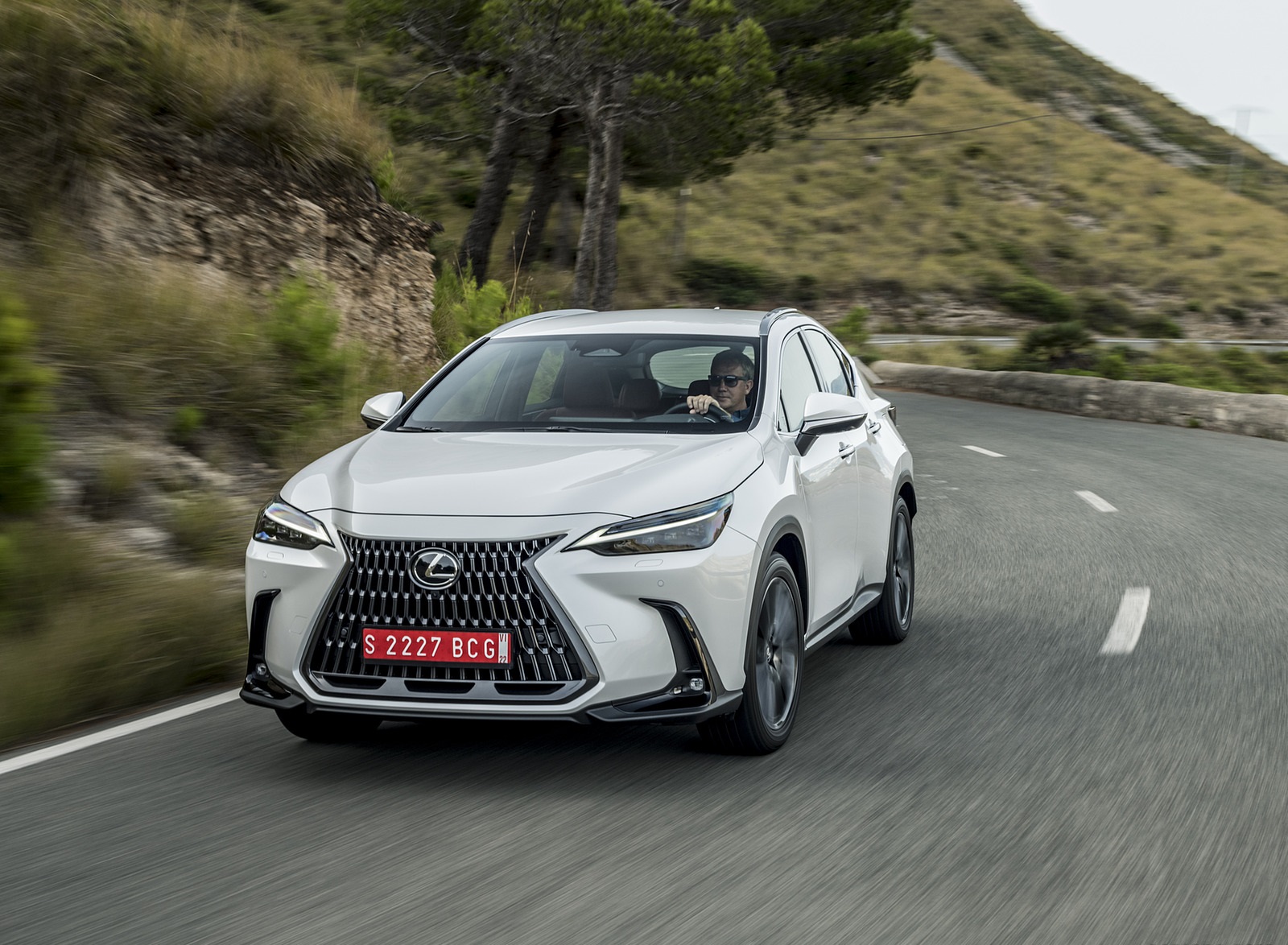 2021 Lexus NX 250 (Euro-Spec) Front Wallpapers (10)