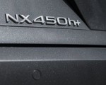 2021 Lexus NX 450h+ (Euro-Spec) Badge Wallpapers 150x120