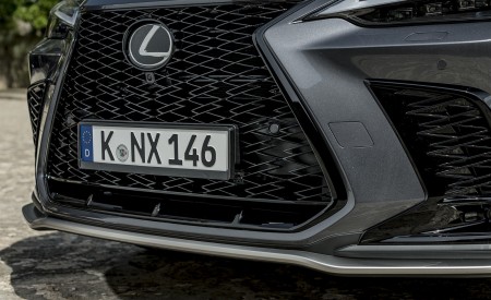 2021 Lexus NX 450h+ (Euro-Spec) Grille Wallpapers 450x275 (49)