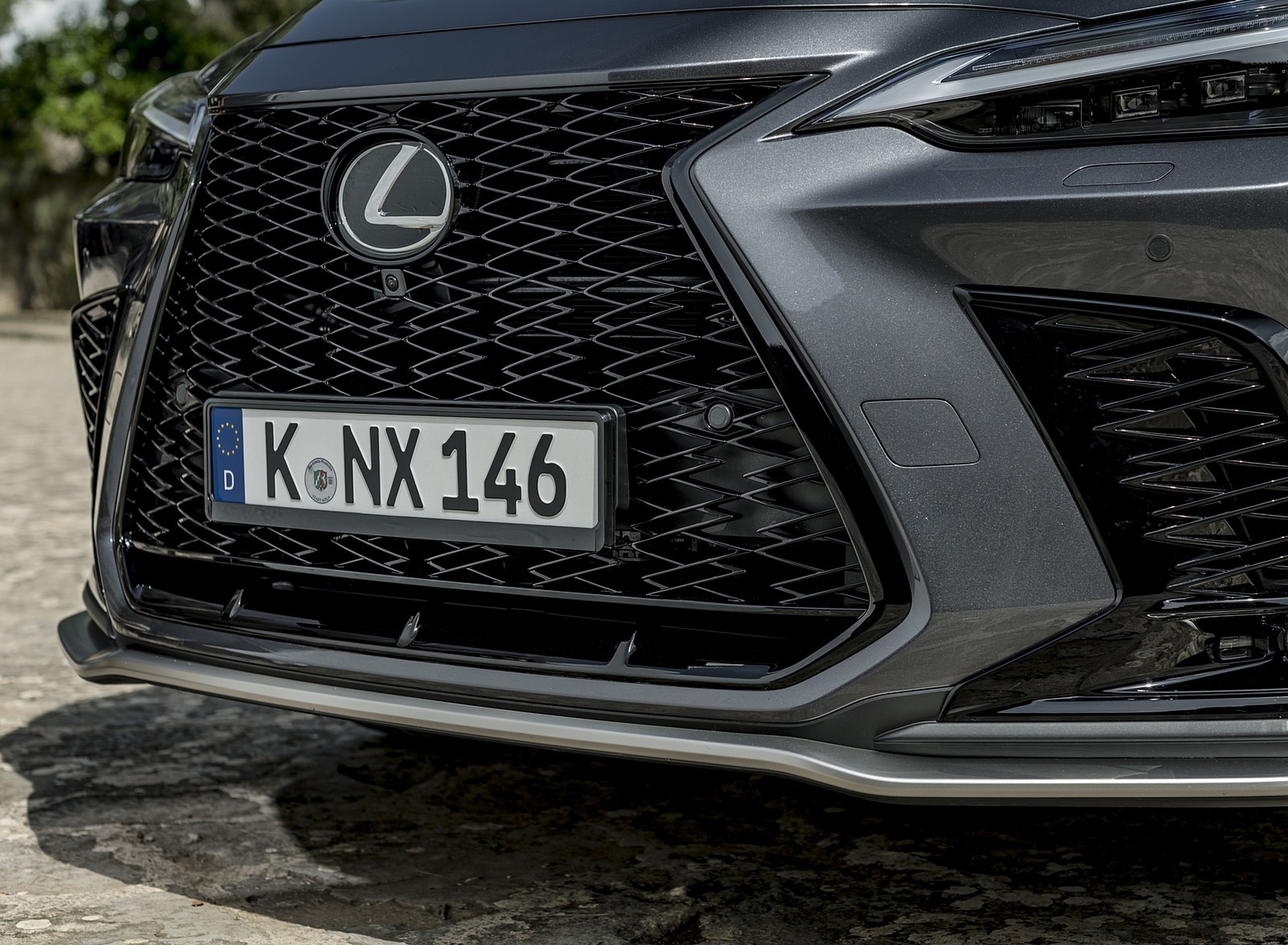 2021 Lexus NX 450h+ (Euro-Spec) Grille Wallpapers #49 of 136