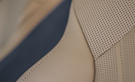 2021 Lexus NX 450h+ (Euro-Spec) Interior Seats Wallpapers 450x275 (132)