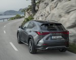 2021 Lexus NX 450h+ (Euro-Spec) Rear Three-Quarter Wallpapers  150x120 (18)